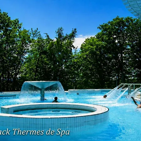 Hotel La Reine & Restaurant 4*