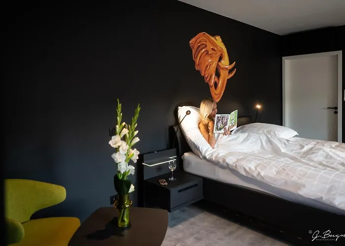 Hotel La Reine & Restaurant 4*